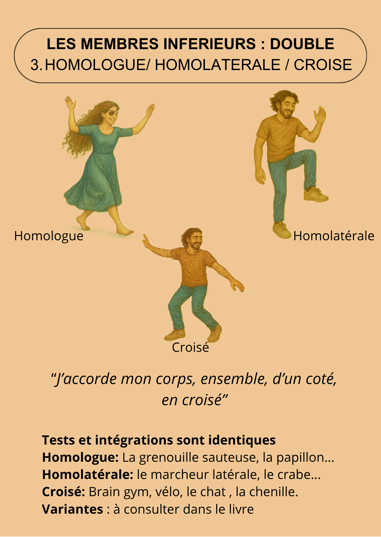 Le jeu Exploreflexe – Image 7